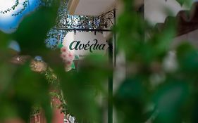 Anelia Boutique Apartments